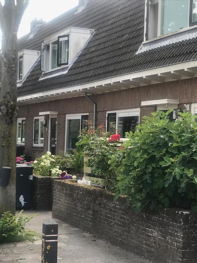 Het Zonnetje Apartment Zandvoort Exterior foto